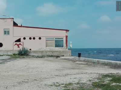 Appena arrivati in sala c�era l�usanza per i neosposi di farsi fotografare prima con l�immagine del gabbiano sullo sfondo e solo dopo sul mare con amici e parenti: era una sorta di portafortuna